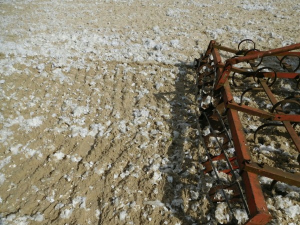 Dressurmix Vlieshäcksel Allround mit 15 % Fasern (Made in Germany)